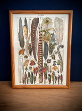 Cargar imagen en el visor de la galería, Cadre en bois avec illustration Plumes Larousse 1910 Histoire Naturelle