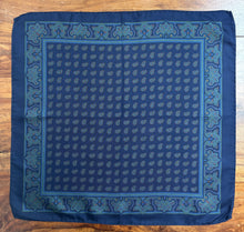 Načíst obrázek do prohlížeče Galerie, Pochette vintage en soie à motif paisley

