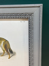 Load image into Gallery viewer, Cadre gris patiné en bois Chacal et Hyène rayée par Charles d'Orbigny
