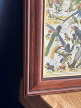 Charger l'image dans la galerie, Petit cadre en bois avec planche naturaliste Oiseaux Larousse 1910
