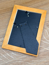 Načíst obrázek do prohlížeče Galerie, Petit cadre en bois illustration Truxale vermillon Criquets Tetrix par d'Orbigny
