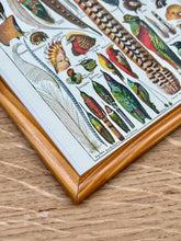 Afbeelding in Gallery-weergave laden, Cadre en bois avec illustration Plumes Larousse 1910 Histoire Naturelle
