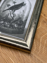 Cargar imagen en el visor de la galería, Petit cadre en bois argenté Illustration Chat Hibou sous cloche
